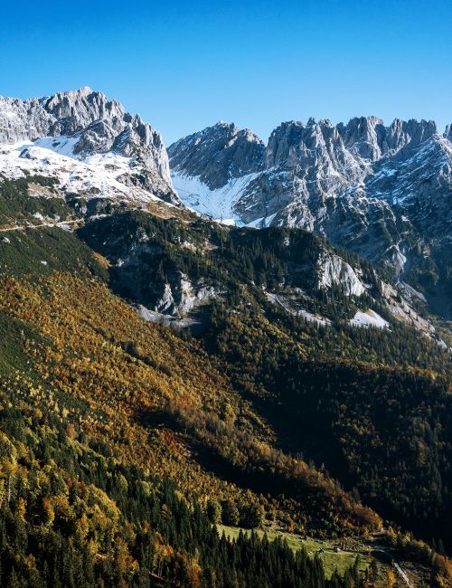 Wir suchen Immobilien